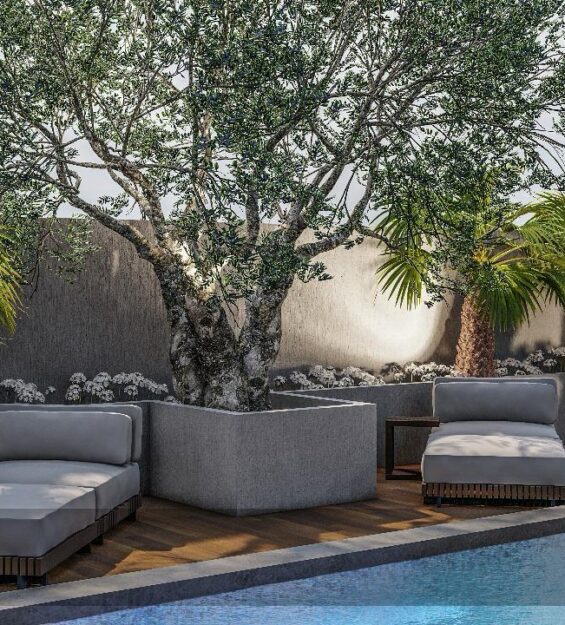 WhatsApp Image 2024-11-20 at 2.16.26 PM (2)