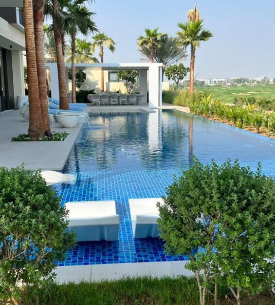 WhatsApp Image 2024-11-20 at 2.16.30 PM (1)