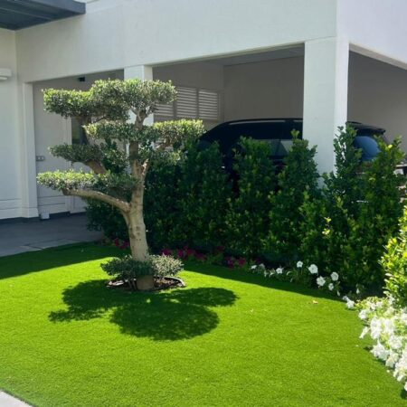 WhatsApp Image 2024-11-02 at 20.50.50_a459a3a2