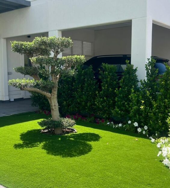 WhatsApp Image 2024-11-02 at 20.50.50_a459a3a2