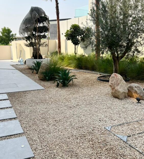 WhatsApp Image 2024-11-03 at 07.37.19_57181999