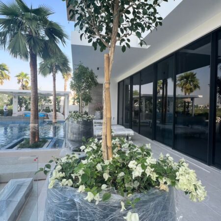 WhatsApp Image 2024-11-03 at 07.42.35_61bd57d7