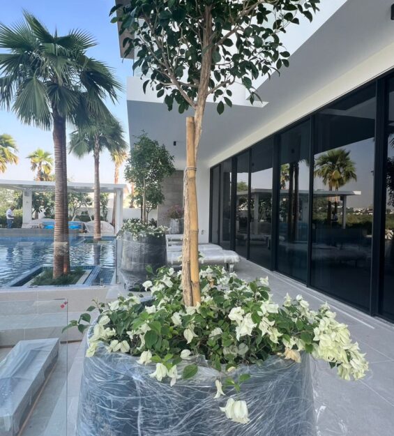 WhatsApp Image 2024-11-03 at 07.42.35_61bd57d7