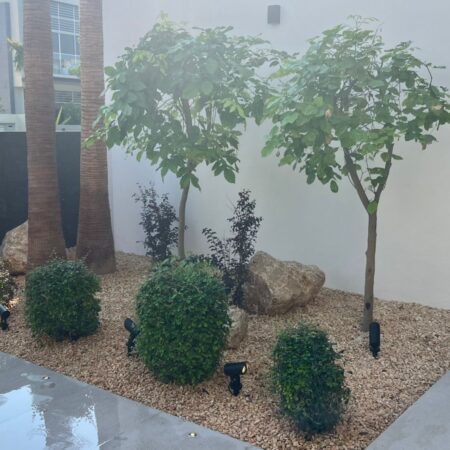 WhatsApp Image 2024-11-03 at 07.42.39_026c485b