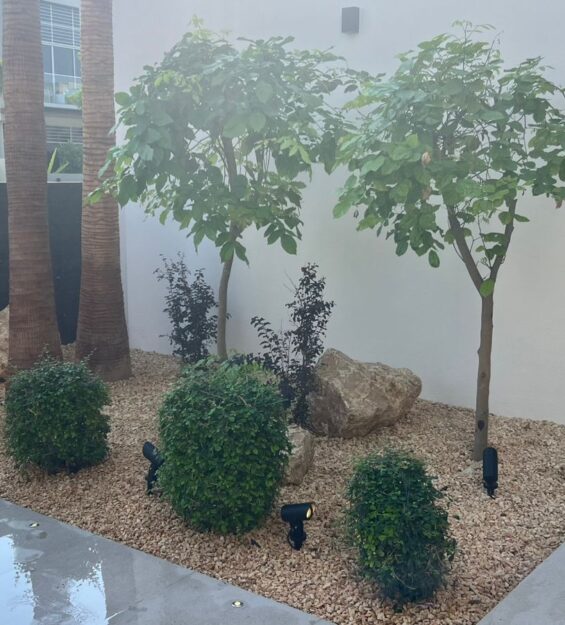 WhatsApp Image 2024-11-03 at 07.42.39_026c485b