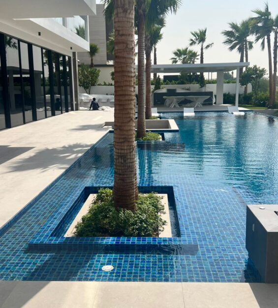 WhatsApp Image 2024-11-03 at 07.42.43_accadf7c