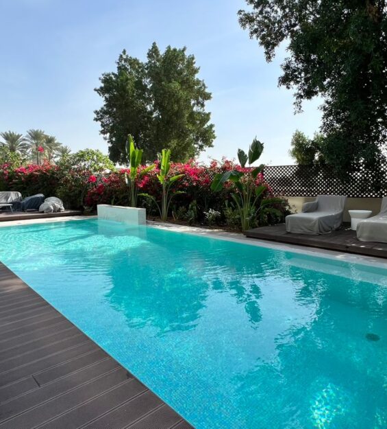 WhatsApp Image 2024-11-03 at 07.48.17_6247b126